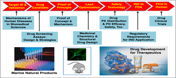 Clinical Timeline