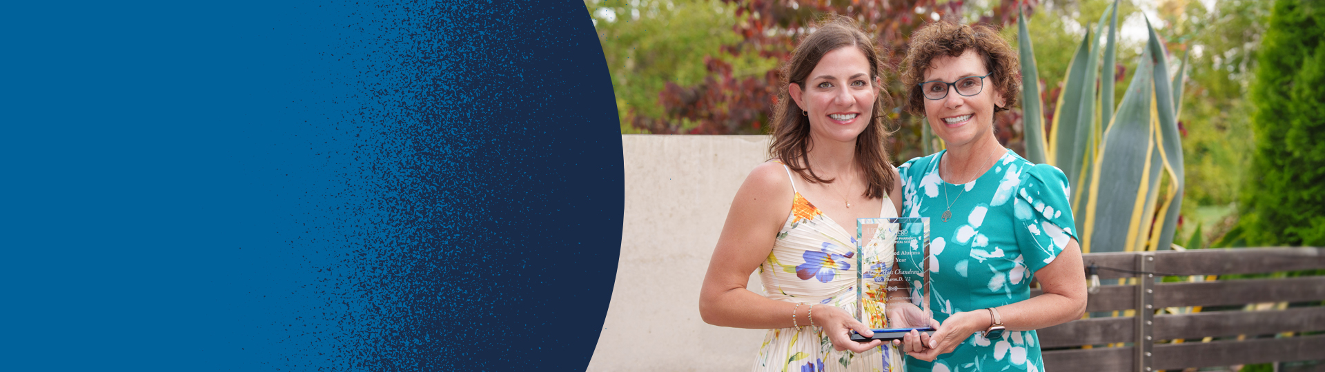 Submit a Distinguished Alumni Award nomination