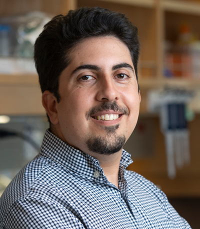 Thomas F. Martinez, Ph.D.